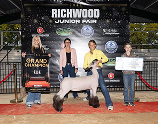 Amstutz Show Lambs Winner