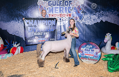 Amstutz Show Lambs Winner