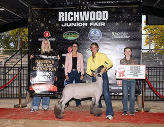 Amstutz Show Lambs Winner